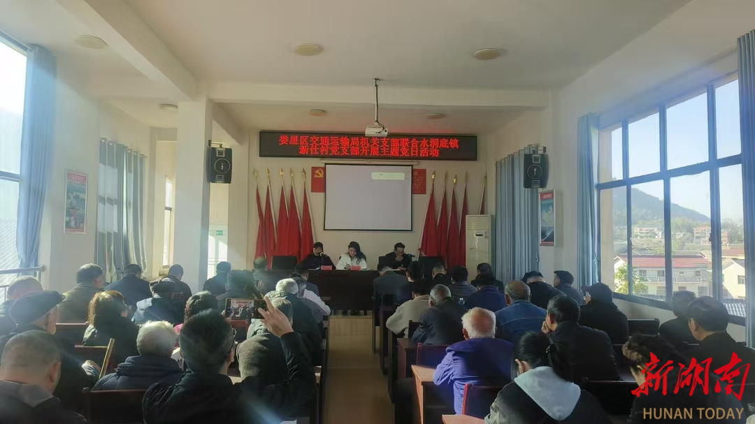 娄星区交通运输局联合水洞底镇新仕村开展主题党日活动