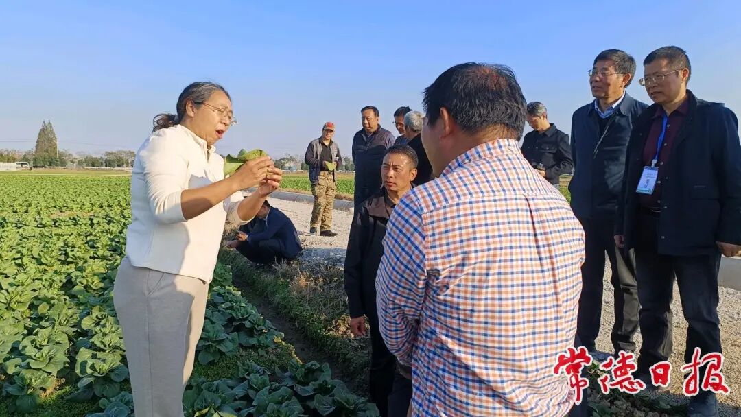 田埂间的“科技密码”