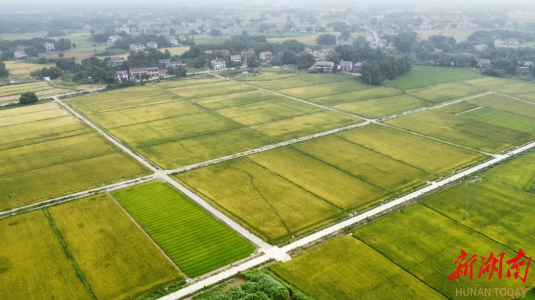 资阳区为高标准农田建设注入“廉动力”与“监管力”，筑牢乡村振兴“耕”基