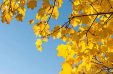 湖南气象发布：直冲26℃！别急，降温时间定了