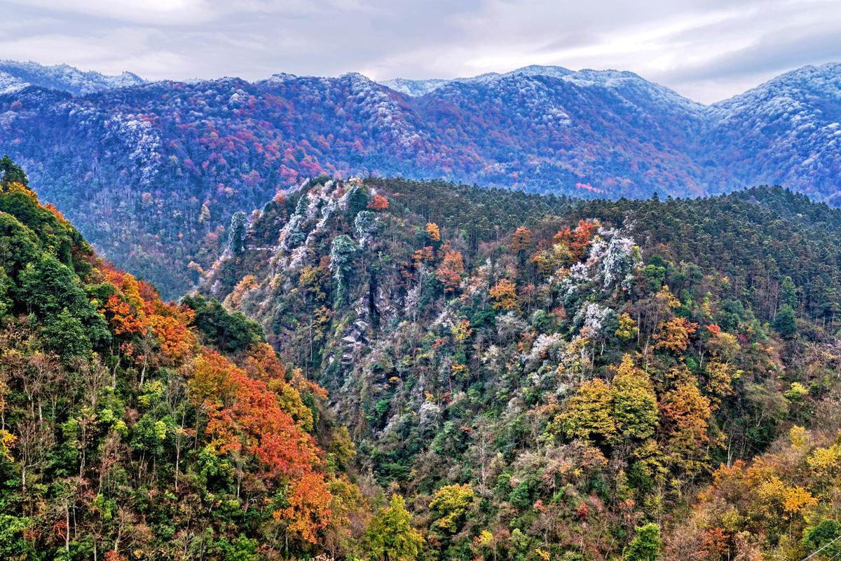 Rime-covered forest with autumn colors draws visitors to Hunan mountain