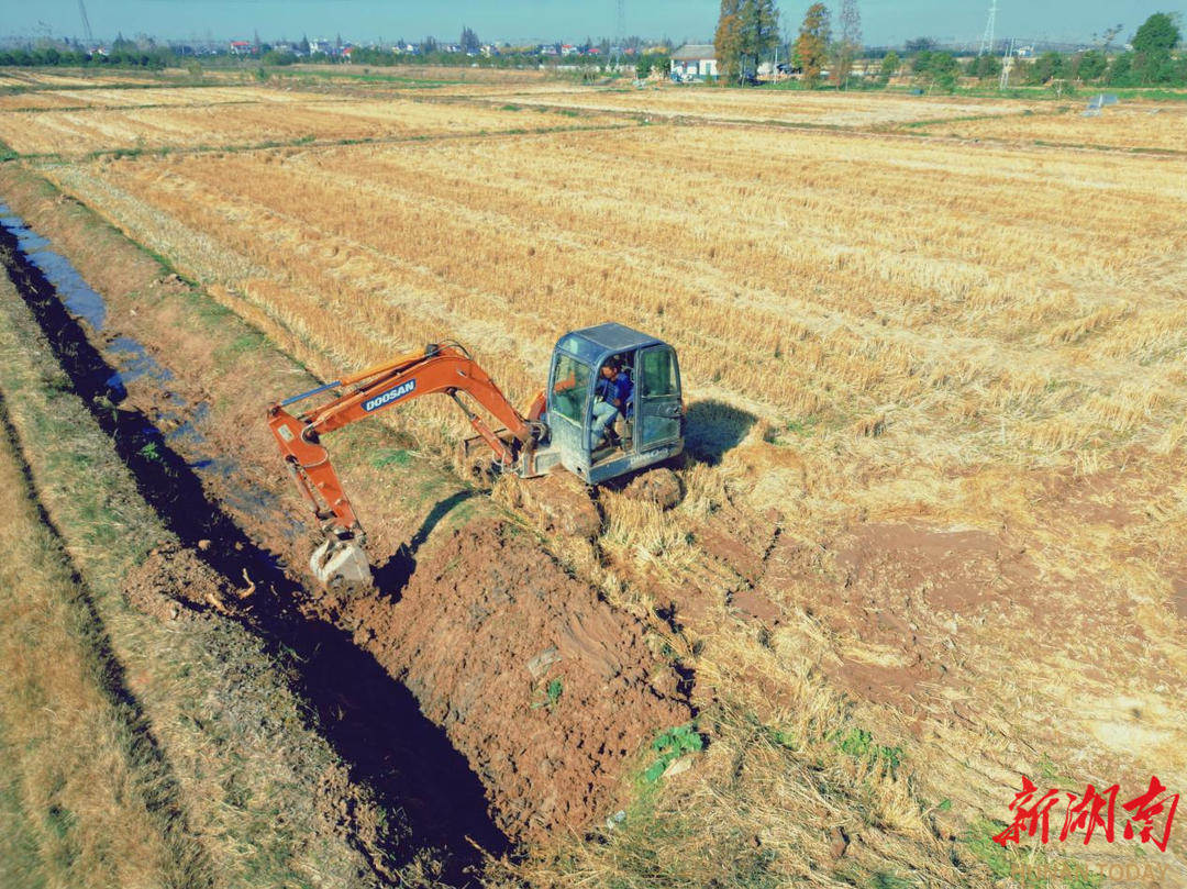 大通湖区北洲子镇：建设高标准农田，助力农业提质增效