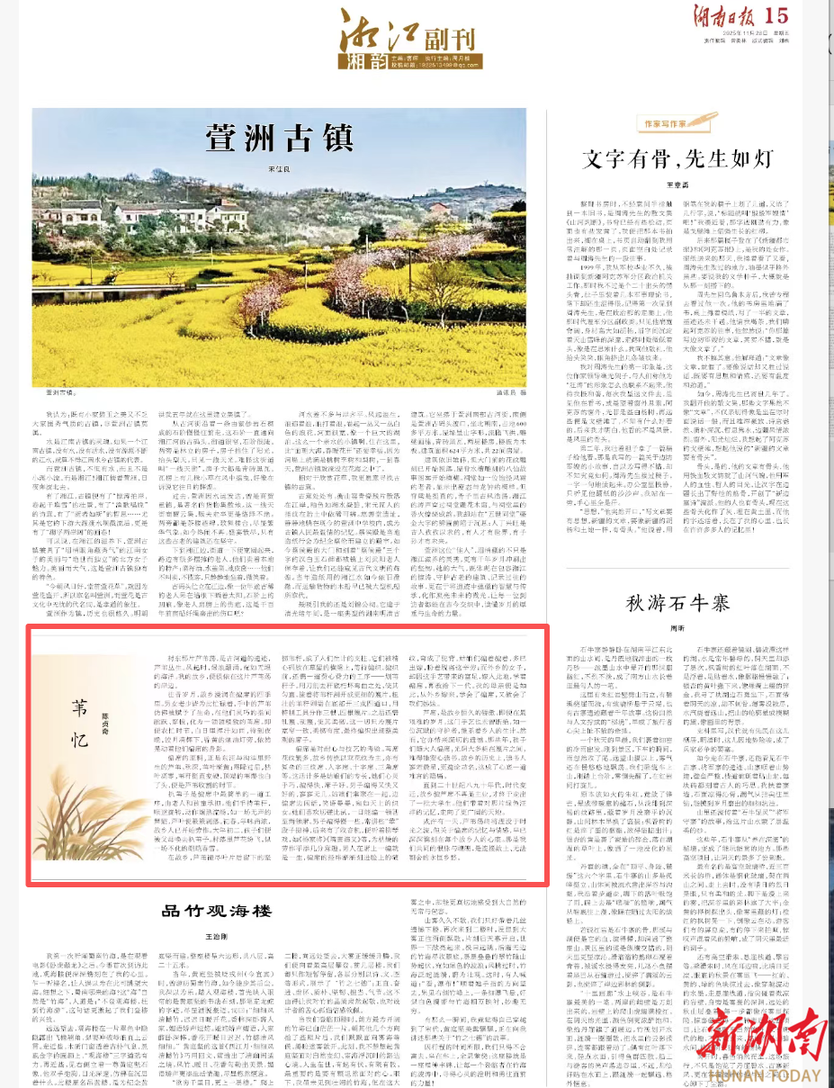 苇 忆|湘江副刊湘韵