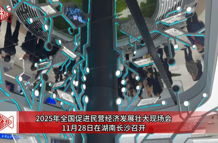 参加全国促进民营经济发展壮大现场会嘉宾，感受马栏山文化科技融合创新活力
