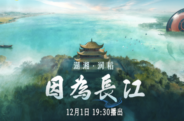 纪录片《因为长江》第六集“湖湘·润稻”篇播出：江湖共润，稻香万年