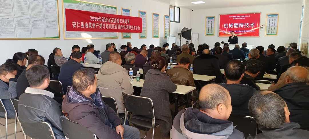 安仁县：赋能“新农人”助力油菜产业提质增效