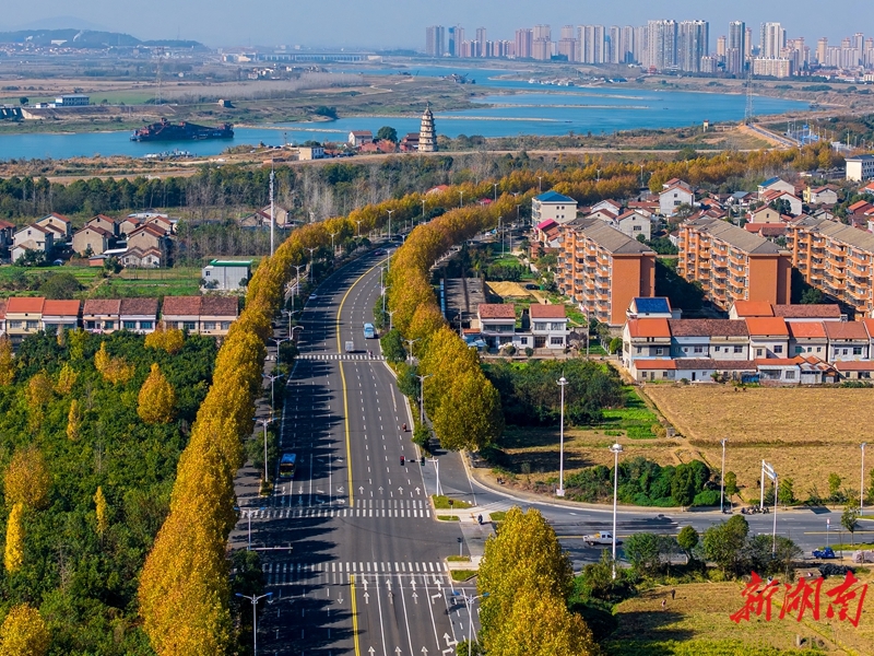 暖阳映照 冬景迷人