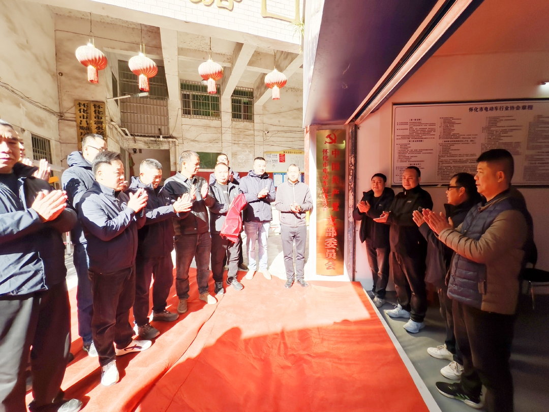 红色引擎赋能绿色发展 怀化成立全国首家电动车行业党支部