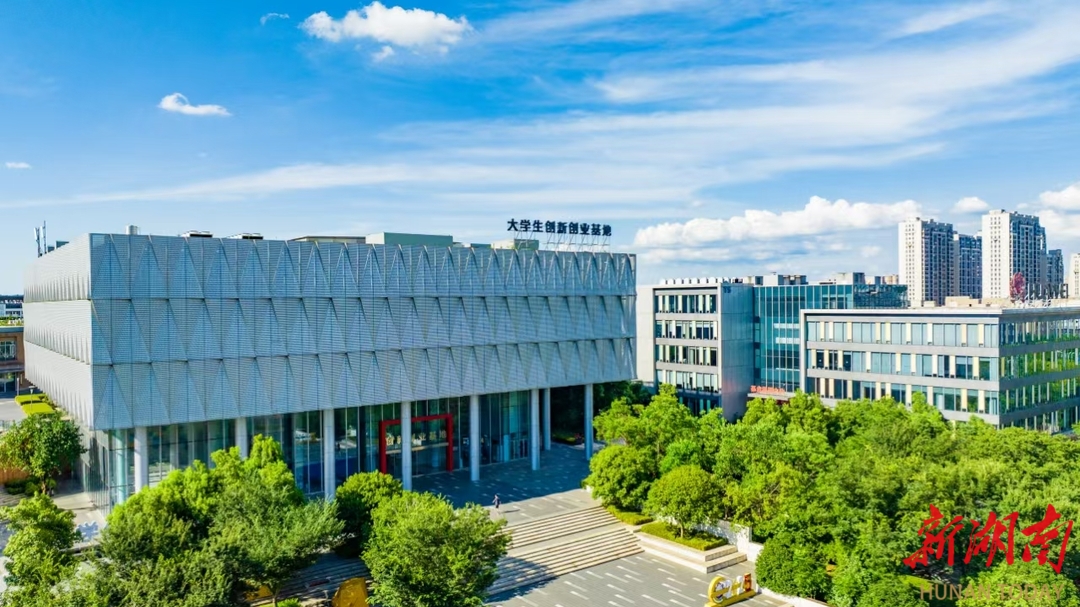 政府出资投保，市场风险共担，望城区“真金白银”为创新创业者兜底