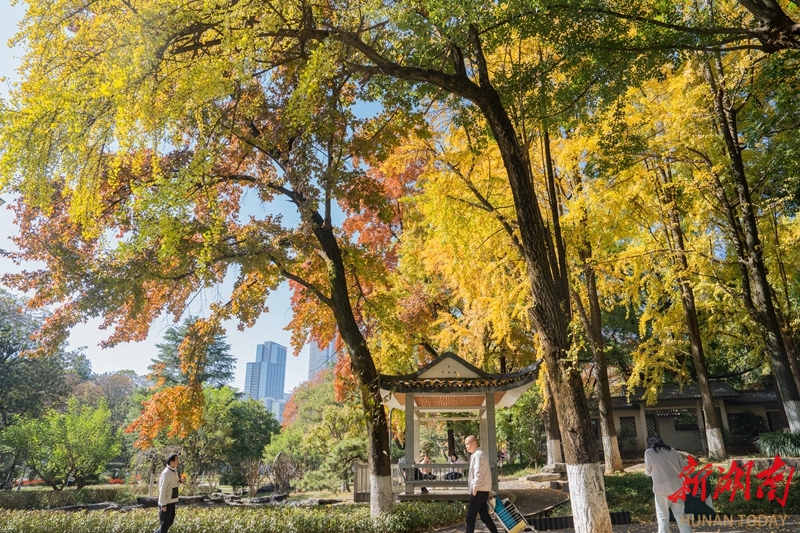 色彩斑斓醉游人