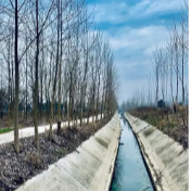 七年纠纷一朝解 司法温情促和谐