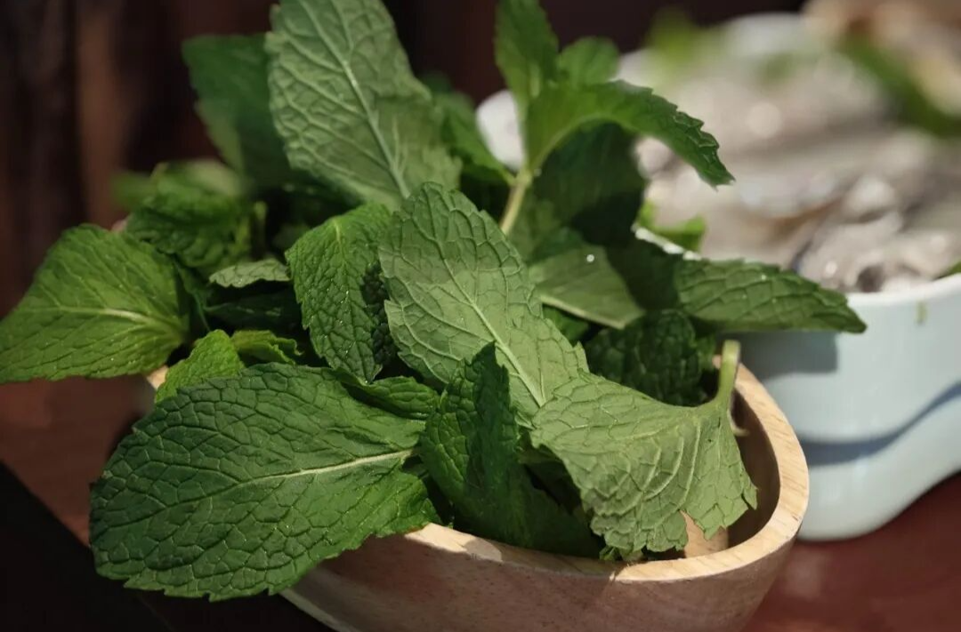 周末·健康丨常吃这4种食物的人，胃癌风险低