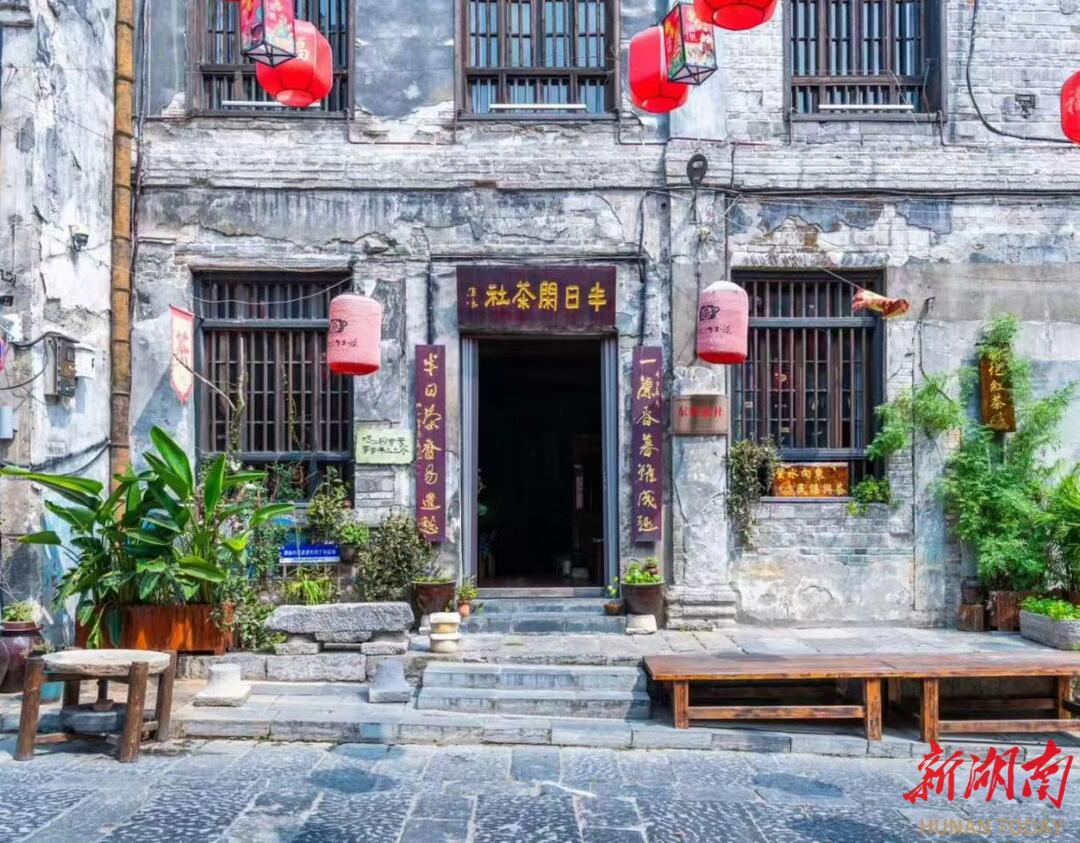 一叶融百业 茶韵润振兴