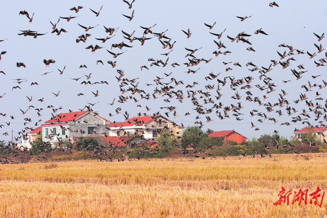 生态蝶变绘就美丽画卷