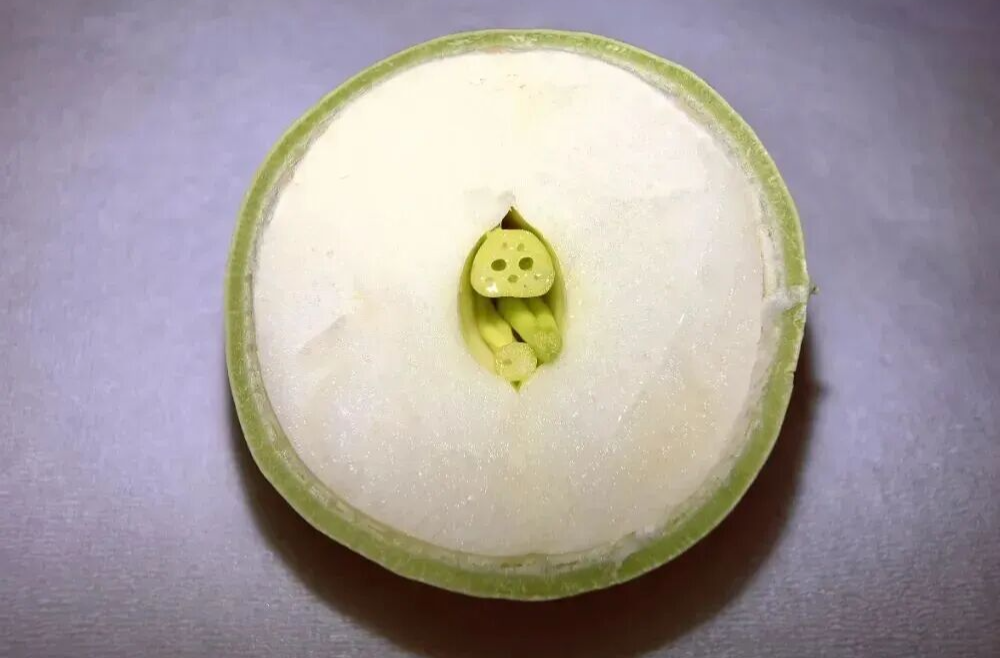 经济视野丨全球多地引种，湖南水果品种焕然一新