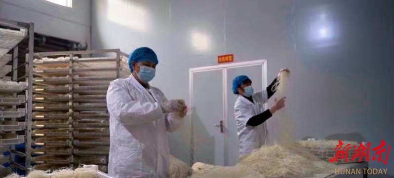 衡阳县：渣江米粉好味道