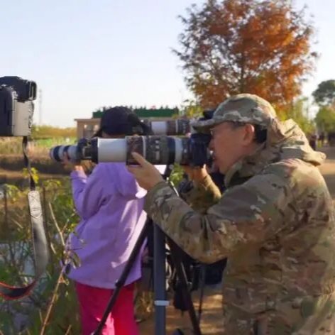 岳阳市屈原管理区东古湖：又是一年拍鸟季