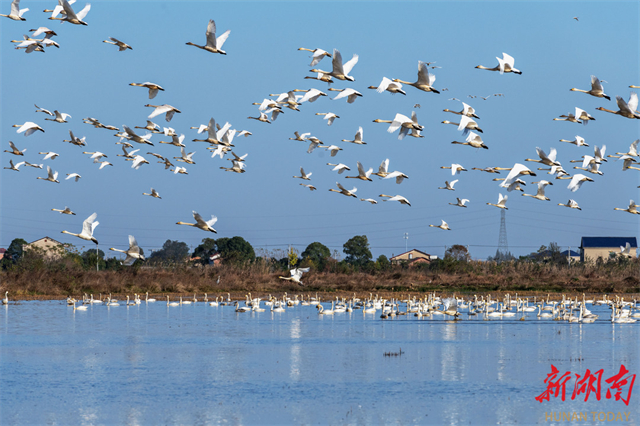 Donggu Lake Transformed into 