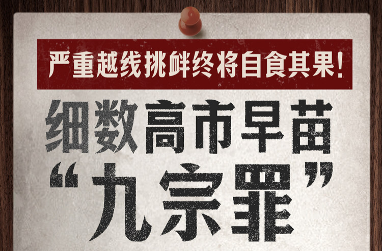 严重越线挑衅终将自食其果！细数高市早苗“九宗罪”