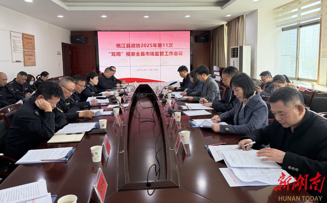 桃江县政协两年“双周”视察29次，87条建议服务发展大局