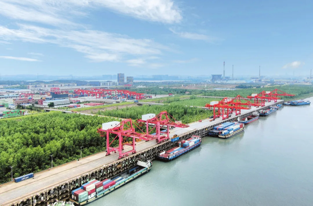 岳阳发布丨国家级荣誉+1+1+1···