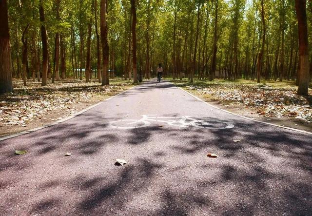 暖阳伴骑行！顺义4条冬日路线，解锁自然与欢乐