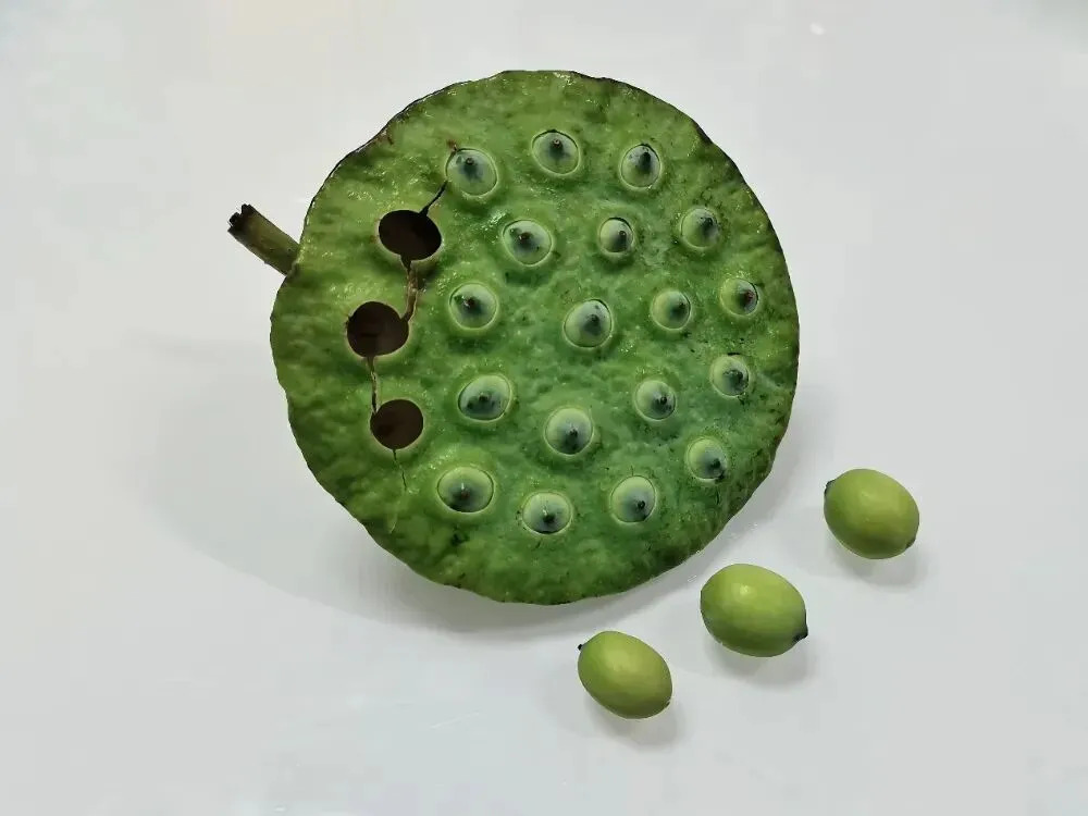 高碳水却升糖慢，这种食物三高人群也能放心吃！