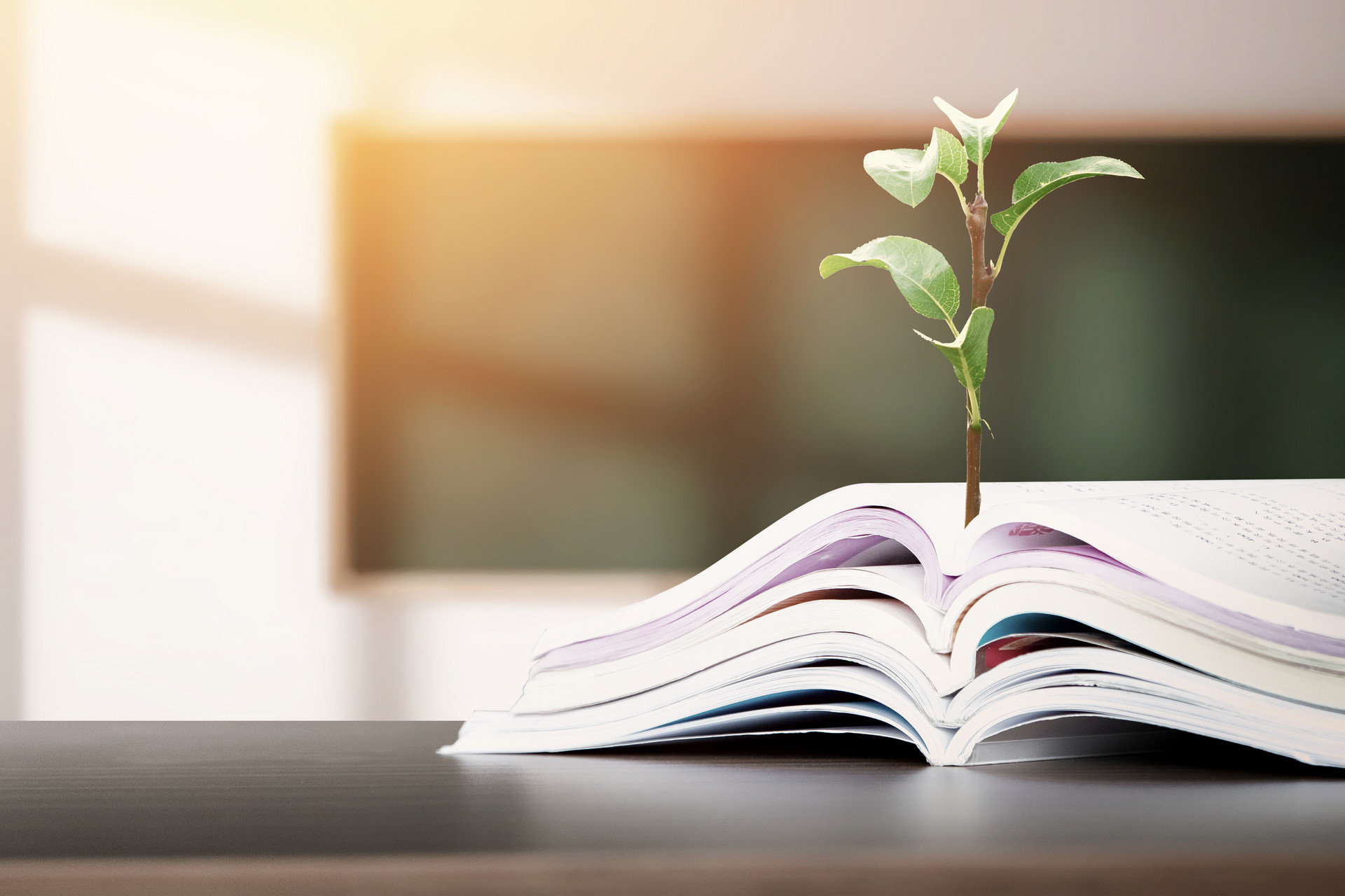 湖南师范大学吴修林、胡婕 | 以美铸魂：激活美育课堂的思政引领