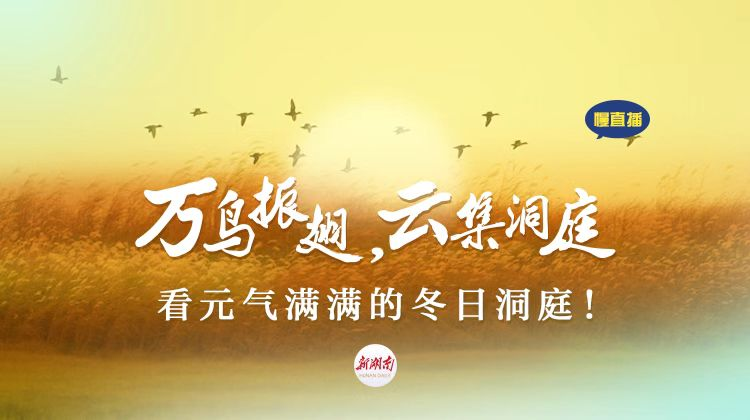 慢直播丨万鸟振翅，看元气满满的冬日洞庭！