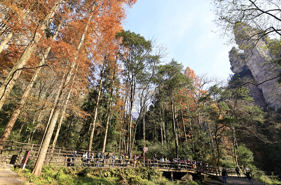 生态旅游活力足