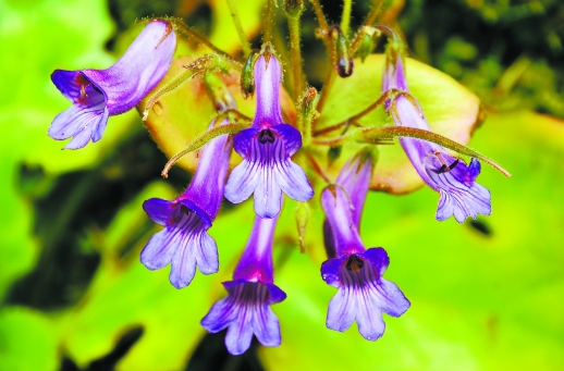 探秘自然，遇见湖湘生物“隐藏款”