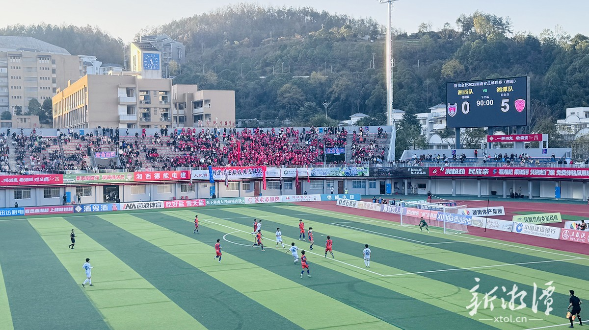 莲城随感：耐心的果实