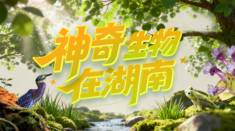 读报丨11月30日《三湘都市报》版面速览