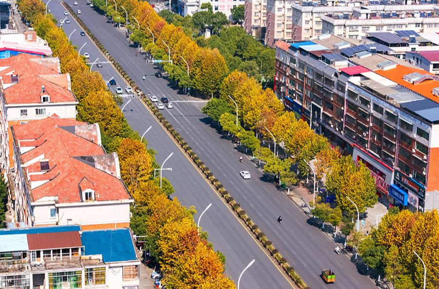 城市绿化绘就冬日“暖调”​