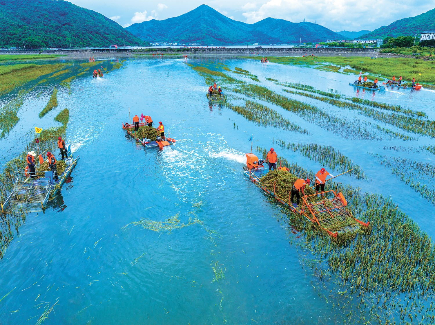 防治利用互促进 美丽海疆现生机——第四次全国互花米草防治工作现场会侧记