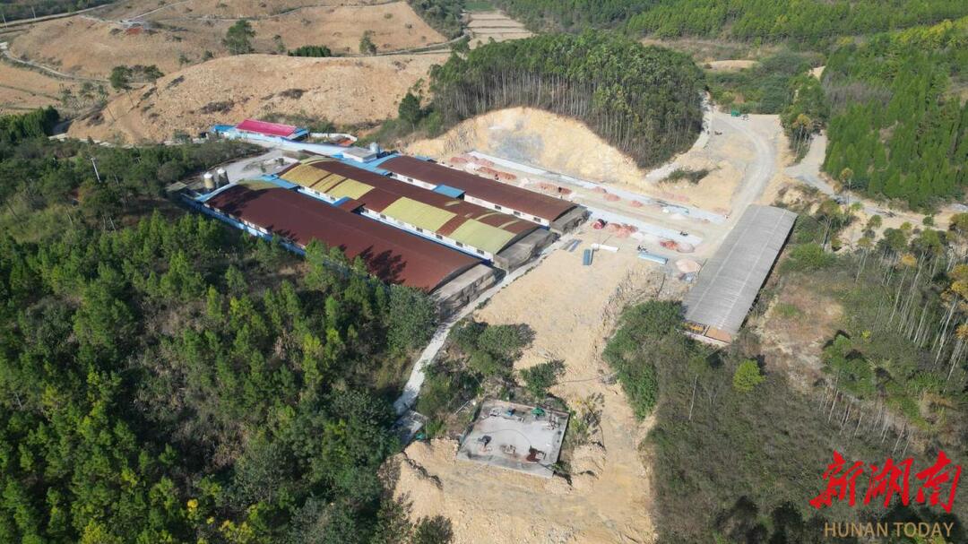 新田：生态种养蹚出致富路