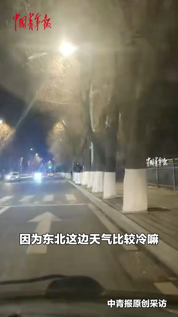 父母接打完篮球的儿子回家，不料儿子的穿搭完美融入行道树