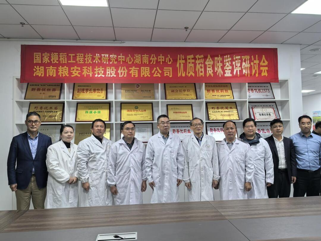 50年以来首次！热带粳稻亮相湖南食味鉴评会