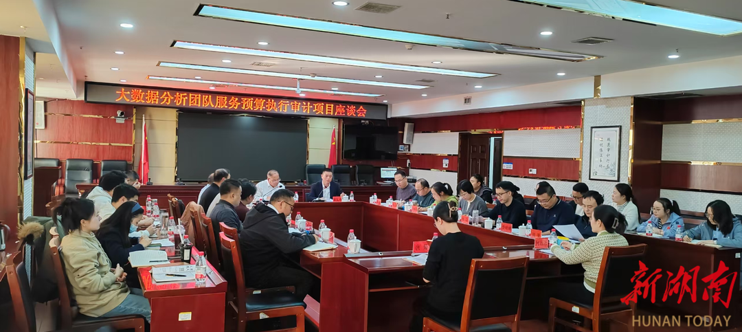 怀化市审计局召开大数据分析团队座谈会 谋划“智能审计”新路径