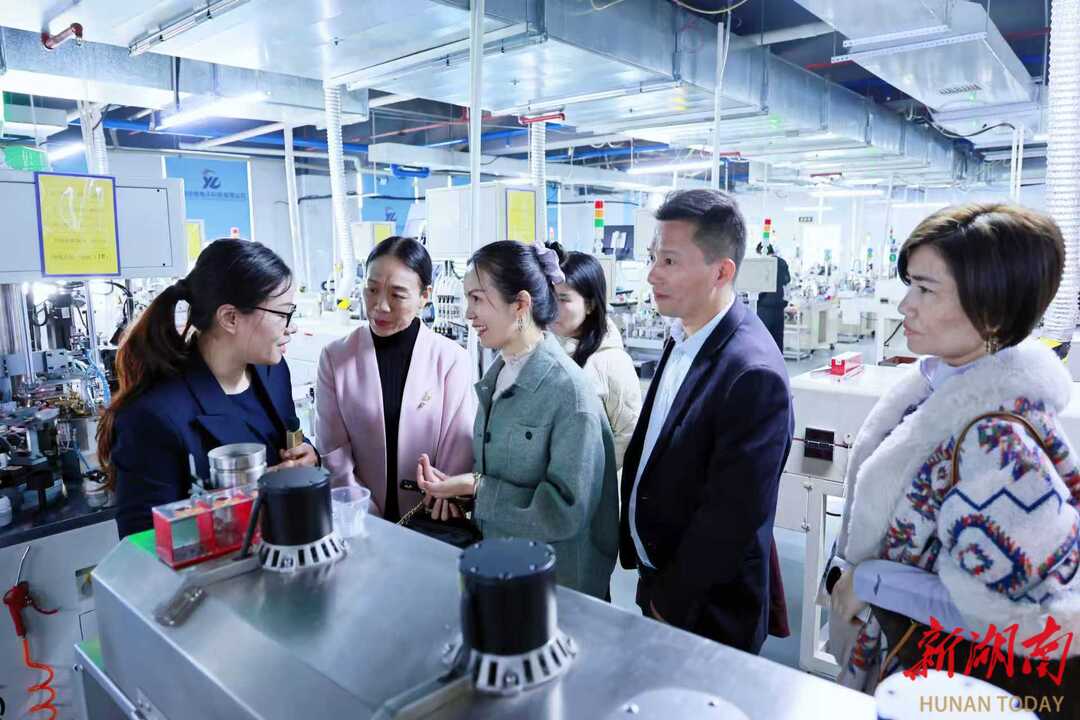永州职业技术学院大湾区校友企业家来永州经开区考察