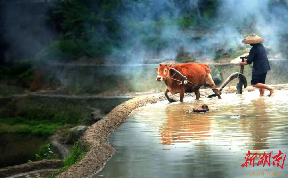 娄底文苑（255）|光影守山人 文脉摆渡者