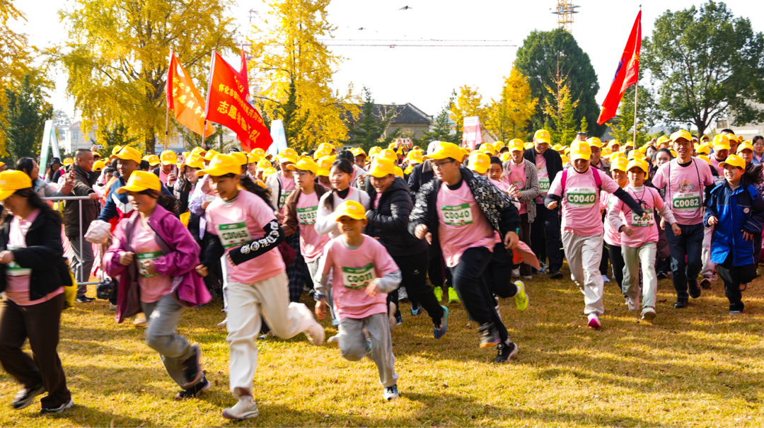 走娃走进稻都安江