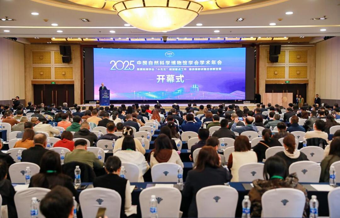 探索“研展教赛”融合新路 湖南地质博物馆交出育人“湖南样板”