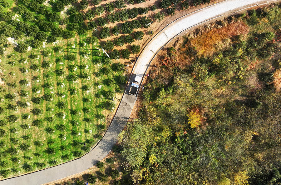 修通“柑橘路” 助推产业兴​