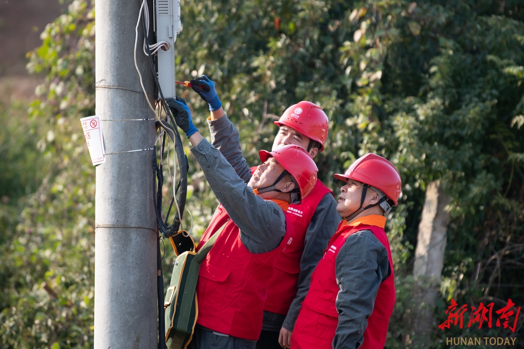 岳阳县：电力“护航”冬季农灌 金盆柚基地灌溉无忧