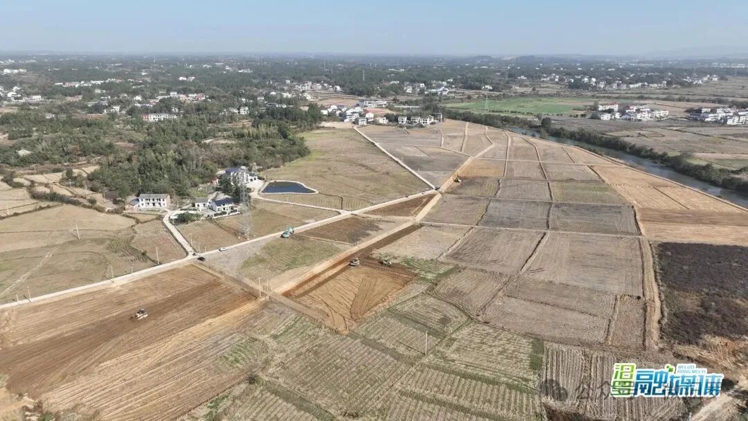 汨罗冬季高标准农田建设如火如荼