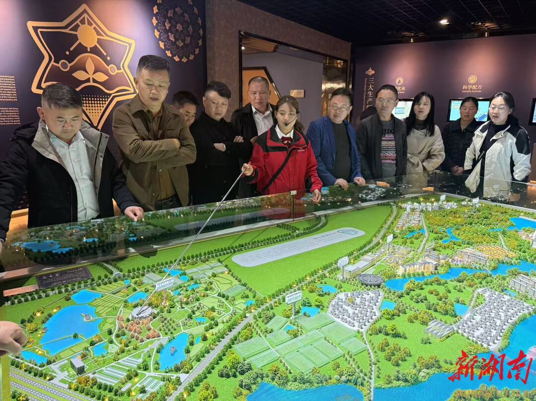 株洲乡村治理人才赴浙江“取经”  解码“绿水青山”向“金山银山”转化之道