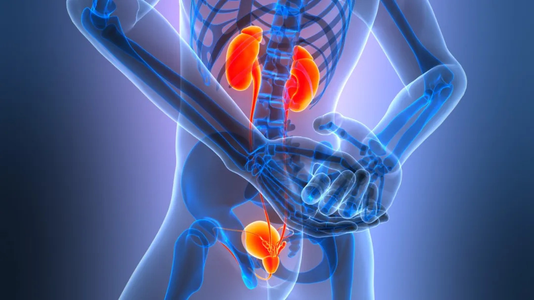 这几种“美食”，正在悄悄拖垮你的肾！第 1 个很多人常吃