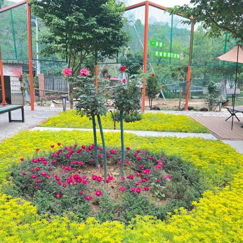 从湖南高速首家员工食堂对外开放，看品牌之树生根发芽