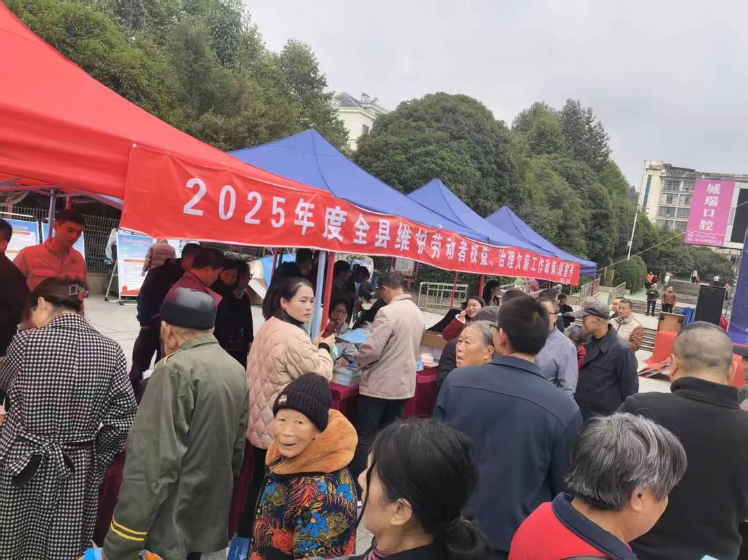 城步：以党建红护航民生安